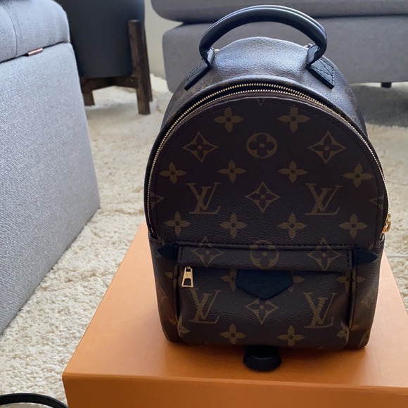 SOLD - Louis Vuitton Palm Springs mini - new version - Picture 5 of 8